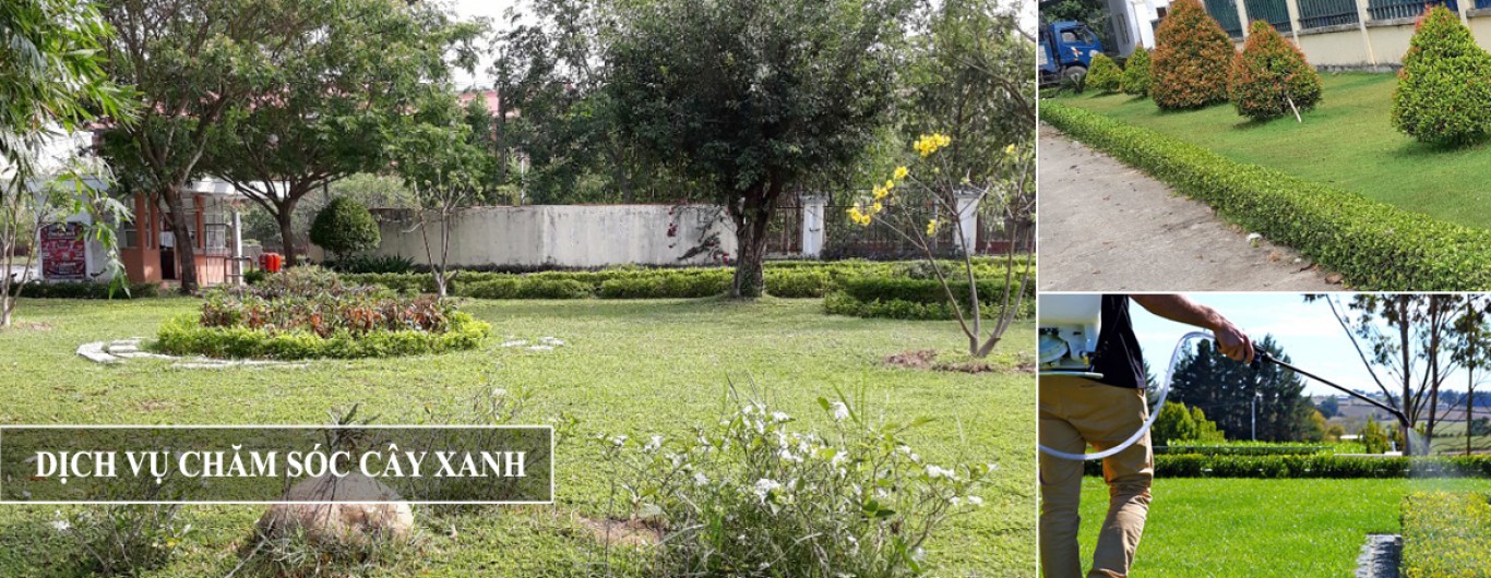 BẢO DƯỞNG CẢNH QUAN TAI KIÊN GIANG